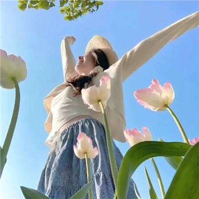 春光灿烂猪九妹