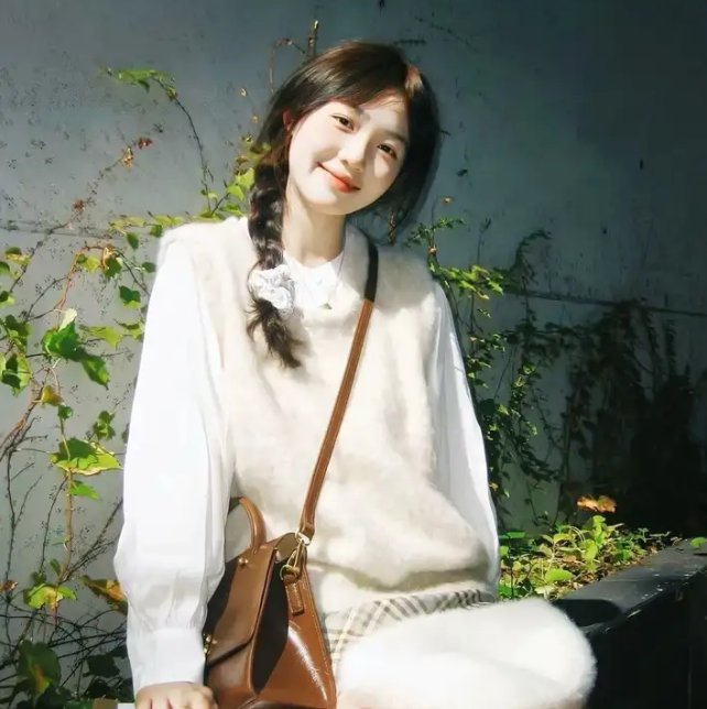 南拳蔡李佛国语